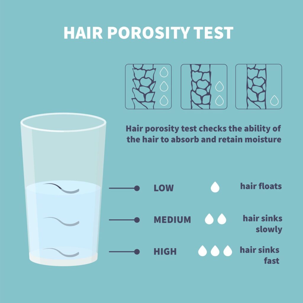 test for hair porosity